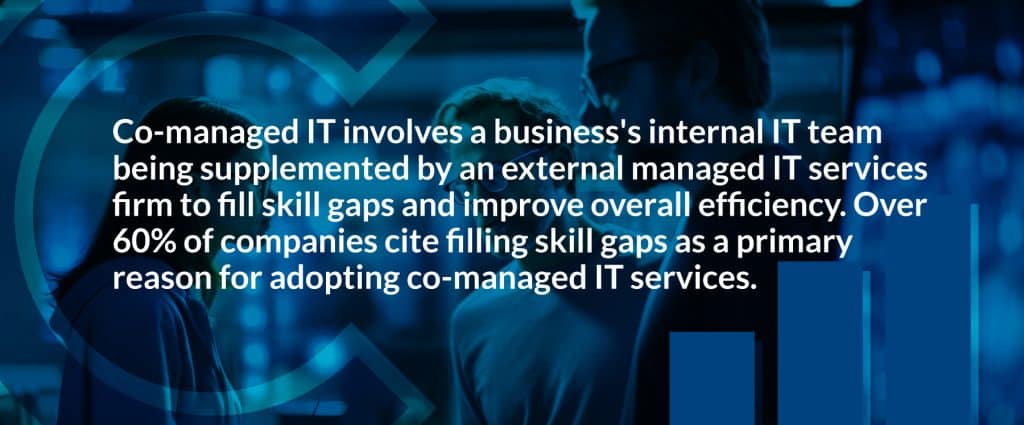 Co-managed IT Services Definition